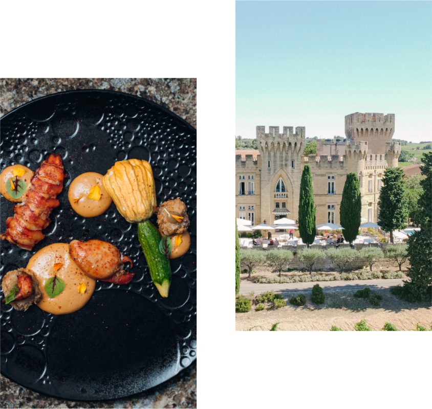 Hostellerie du Château des Fines Roches - Restaurant Châteauneuf-du-pape - top restaurant CHATEAUNEUF-DU-PAPE