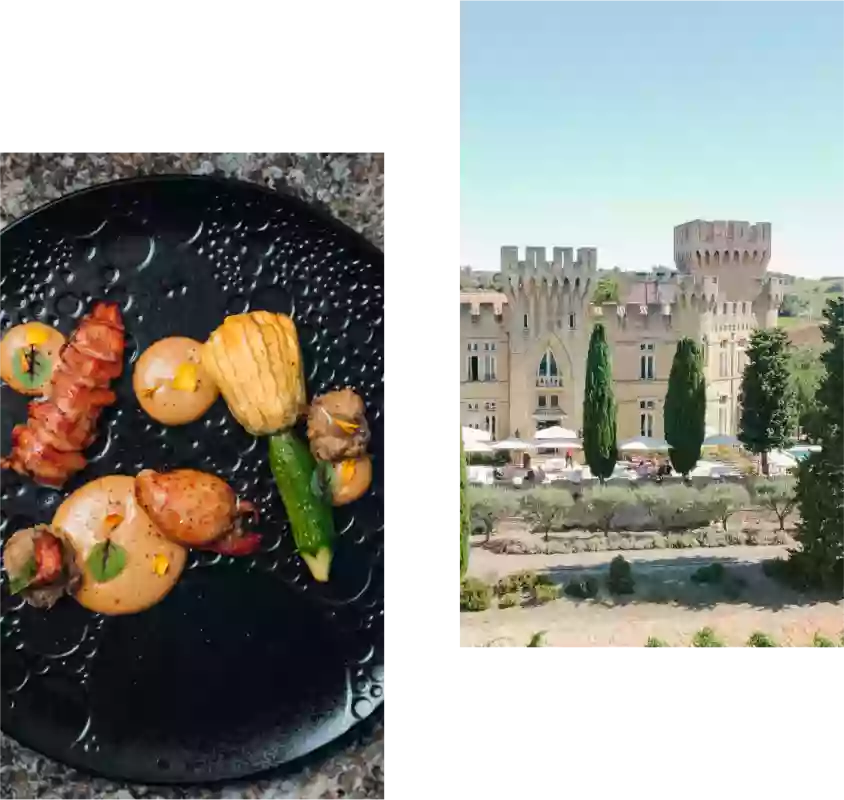 Hostellerie du Château des Fines Roches - Restaurant Châteauneuf-du-pape - Restaurant Chateauneuf du Pape avec terrasse