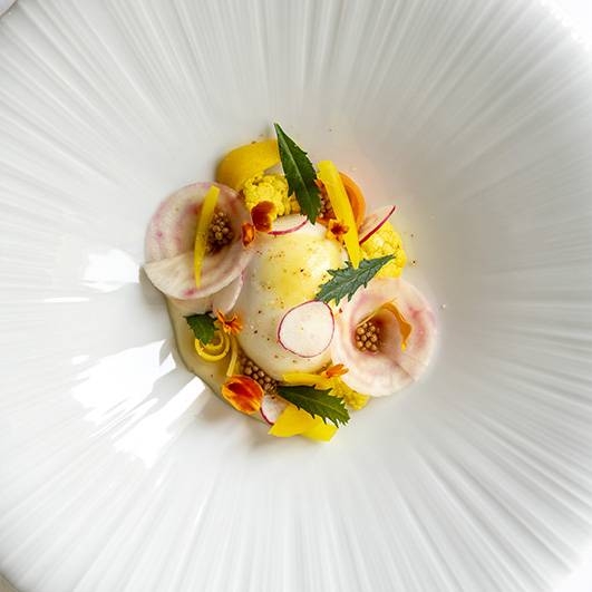 Restaurant - Hostellerie du Château des Fines Roches - Restaurant Châteauneuf-du-pape - Chateauneuf du pape restaurant