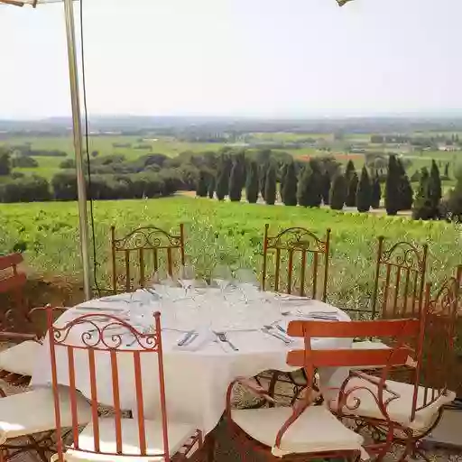 Restaurant - Hostellerie du Château des Fines Roches - Restaurant Châteauneuf-du-pape - Chateauneuf du pape restaurant