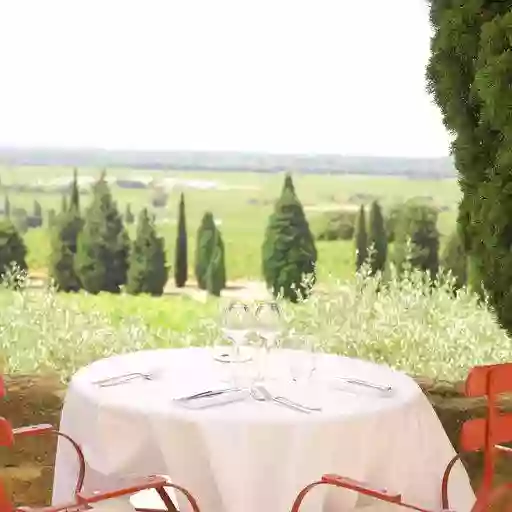 Restaurant - Hostellerie du Château des Fines Roches - Restaurant Châteauneuf-du-pape - Chateauneuf du pape restaurant