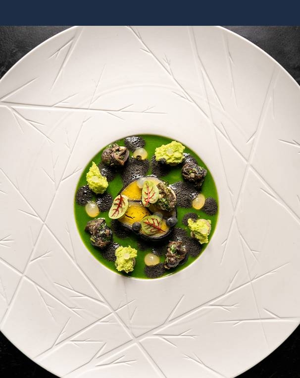 Le Chef -  - Hostellerie du Château des Fines Roches - Restaurant Châteauneuf-du-pape - top restaurant CHATEAUNEUF-DU-PAPE