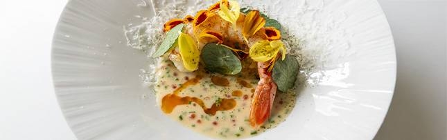 Restaurant gastronomique- Hostellerie du Château des Fines Roches - Restaurant Châteauneuf-du-pape - Chateauneuf du pape restaurant