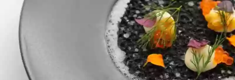 Restaurant gastronomique- Hostellerie du Château des Fines Roches - Restaurant Châteauneuf-du-pape - restaurant CHATEAUNEUF-DU-PAPE